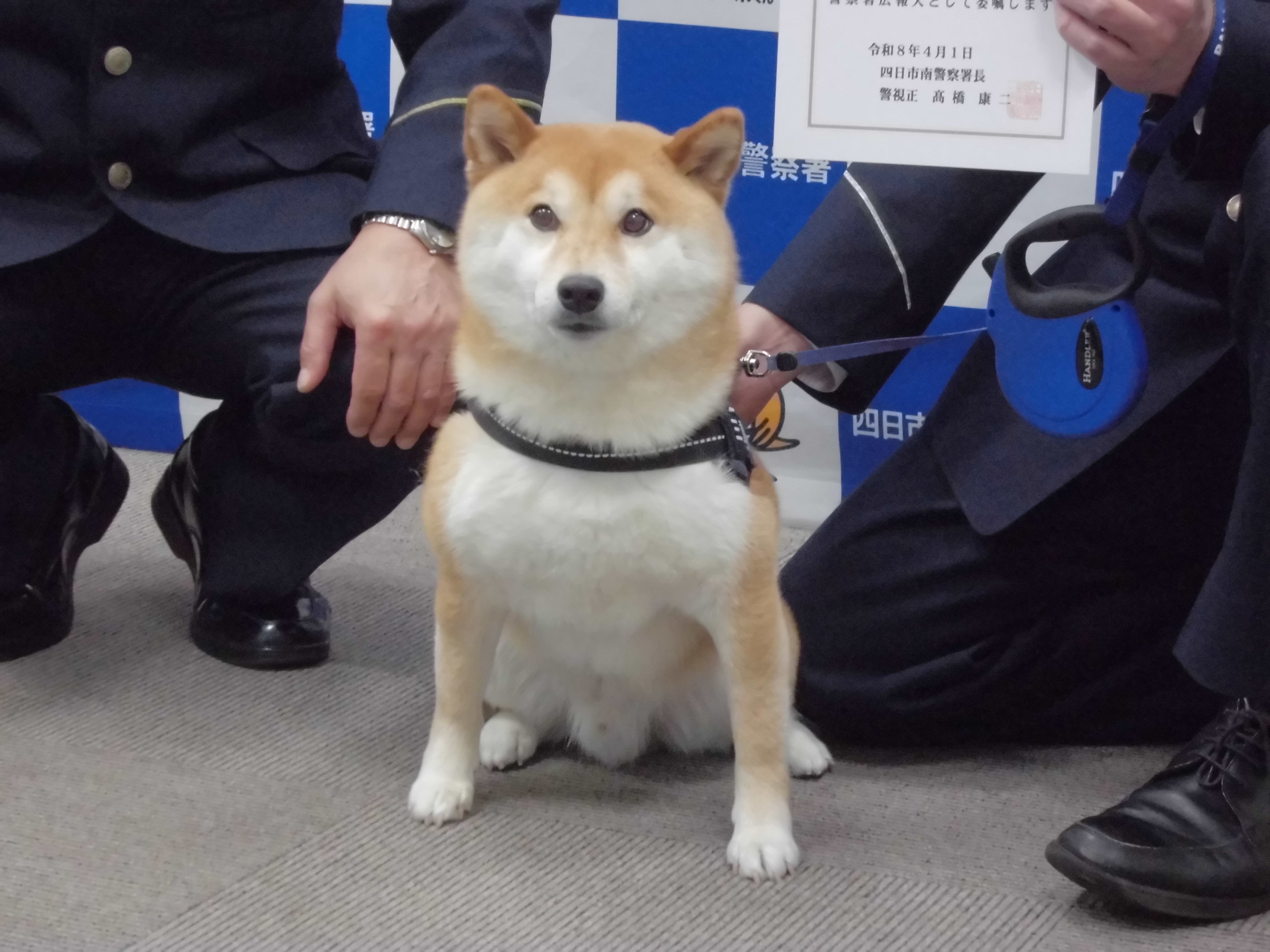 MAMESUKE