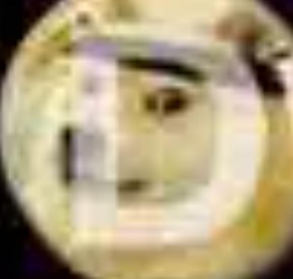 DOJO logo