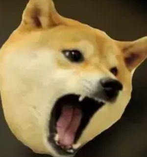 SHIBPOST logo