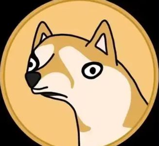 DOGECO1N logo